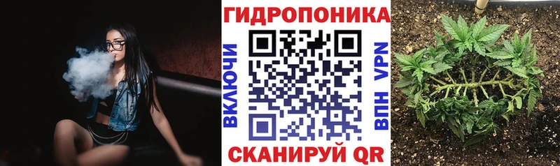 Магазины продажи наркотиков Ачхой-Мартан Alpha PVP Псилоцибиновые грибы mega сайт Меф мяу мяу