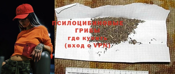 apvp Алексин
